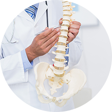 脊椎脊髄外科専門医イメージ